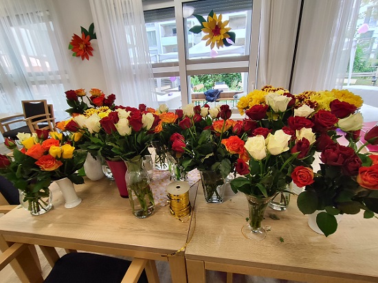 Bild6.jpg