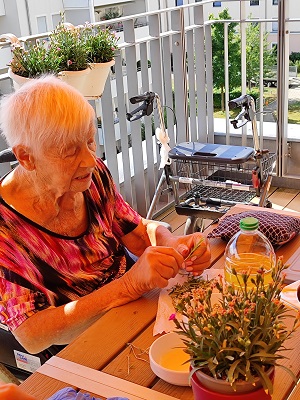 Bild8.jpg