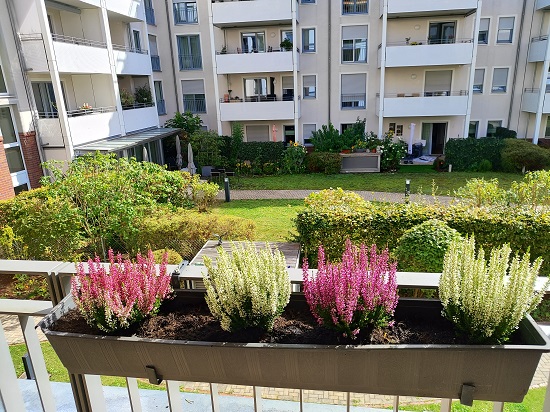 Heide51.jpg
