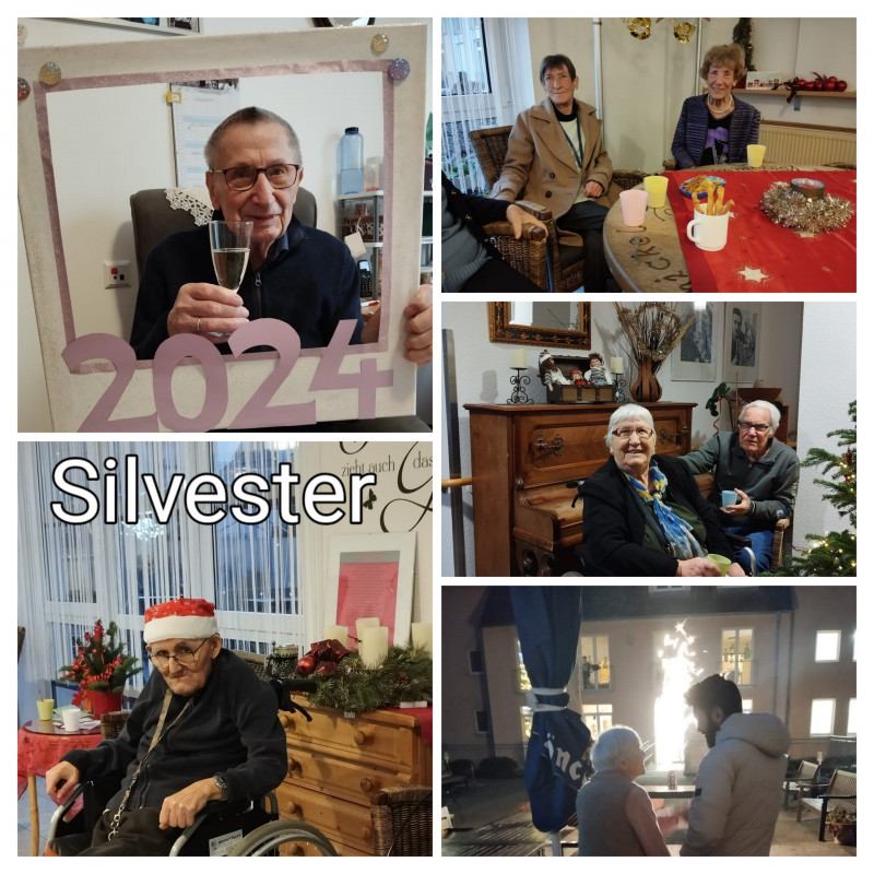 Silvester Collage.jpg